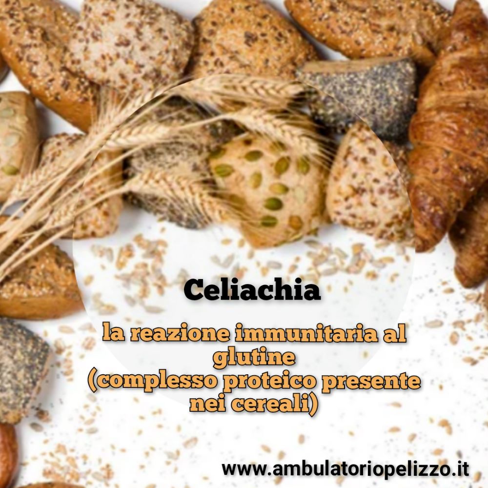 celiachia o intolleranza al glutine