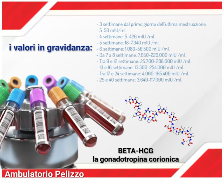 beta hcg, gonadotropina corionica, valori normali con le analisi del sangue