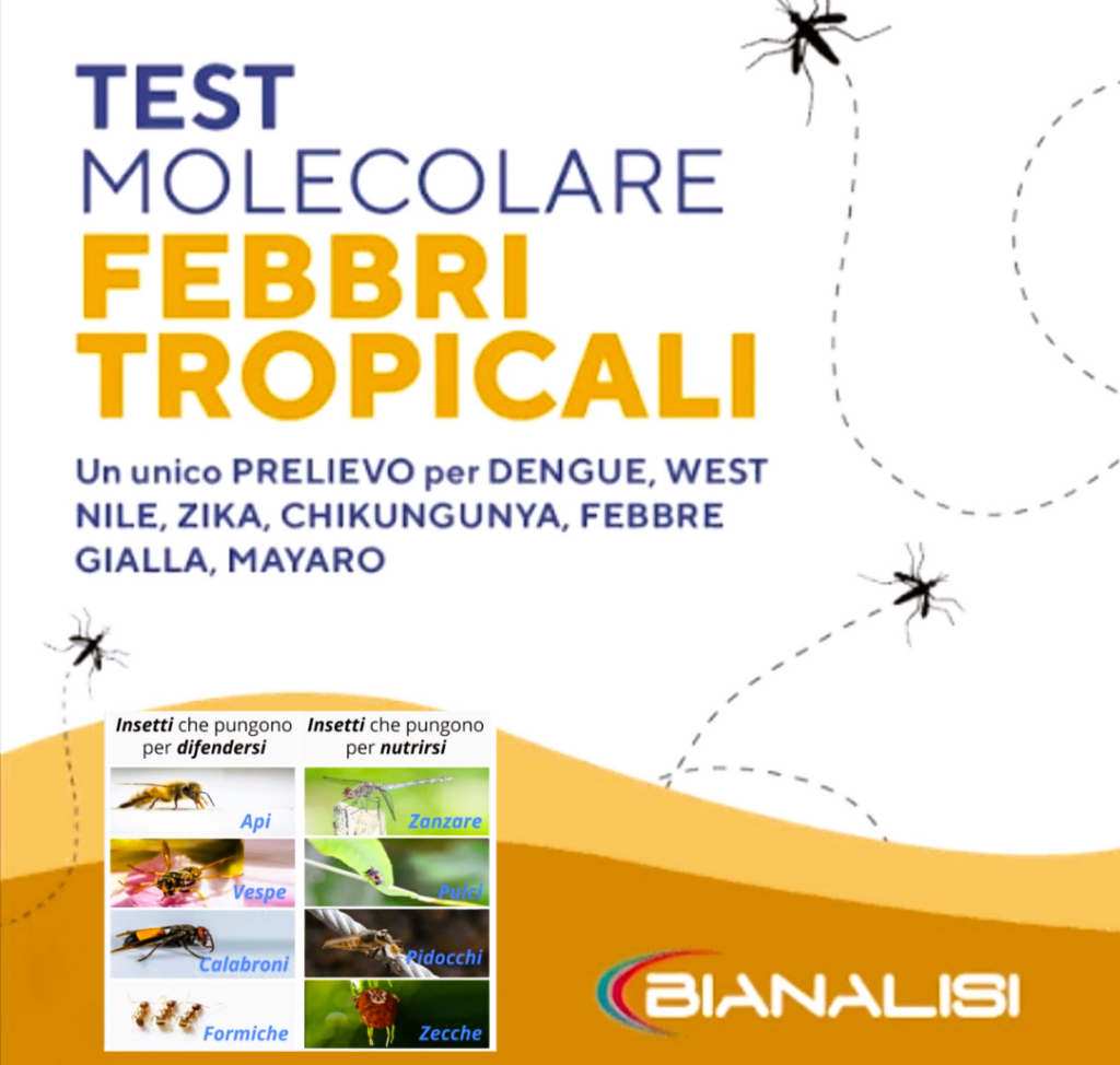 le punture di insetti, segni e sintomi comuni e test molecolare per febbri tropicali,